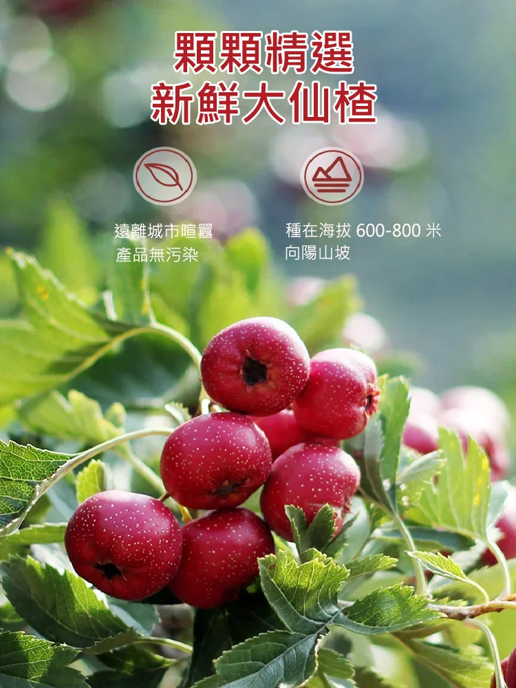 ✅無加糖，無加糖，無加糖【空心山楂幹】 