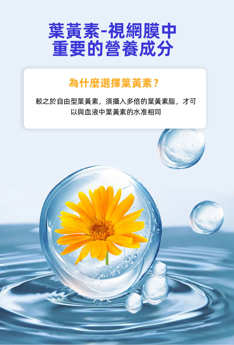 1712408148804627.jpg 9.jpg